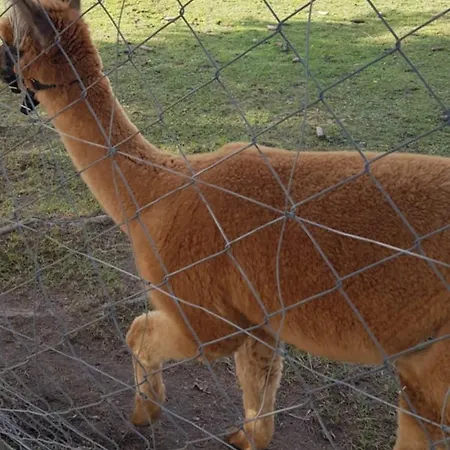 Apartmán Mieszkanie Starowka Centrum