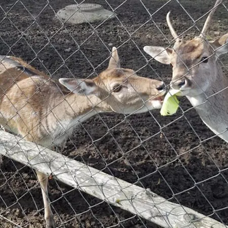 Apartmán Mieszkanie Starowka Centrum